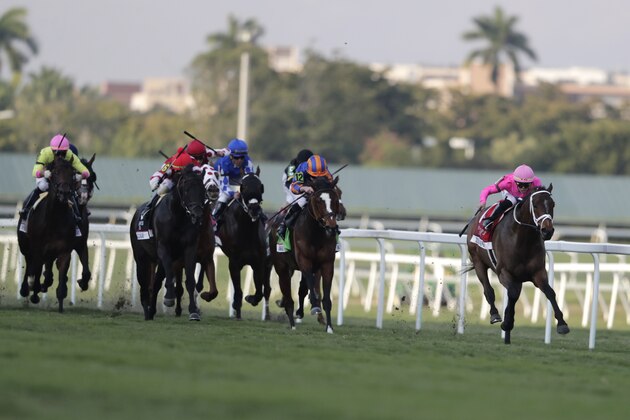 Jockey Tyler Gaffalione, atop Zulu Alpha, right, pulls away from the pack during the Pegasus World Cup Turf Invitational horse race, Saturday, Jan. 25, 2020, at Gulfstream Park in Hallandale Beach, Fla. Zulu Alpha won the race. (AP Photo/Lynne Sladky)