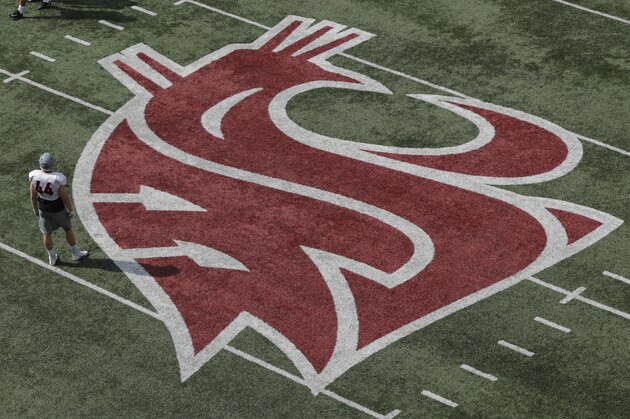 Washington State defensive lineman Logan Tago stands near the WSU Cougars logo on a practice field during NCAA football practice, Thursday, Aug. 16, 2018, in Pullman, Wash. (AP Photo/Ted S. Warren)