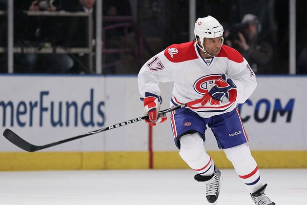 NEW YORK - JANUARY 17:  Georges Laraque #17 of the Montreal Canadiens in action against the New York Rangers during their game on January 17, 2010 at Madison Square Garden in New York City, New York.  (Photo by Al Bello/Getty Images)