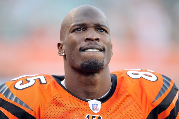 CINCINNATI - NOVEMBER 21:  Chad Ochocinco #85 of the Cincinnati Bengals watches the final minute of the Bengals 49-31 loss to the Buffalo Bills at Paul Brown Stadium on November 21, 2010 in Cincinnati, Ohio.  (Photo by Andy Lyons/Getty Images)