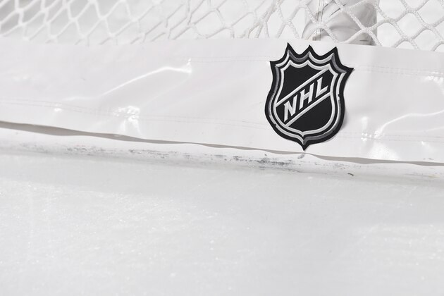 MONTREAL, QC - NOVEMBER 05:  The NHL logo on the back of the goal netting between the Montreal Canadiens and the Boston Bruins at the Bell Centre on November 5, 2019 in Montreal, Canada.  The Montreal Canadiens defeated the Boston Bruins 5-4.  (Photo by Minas Panagiotakis/Getty Images)