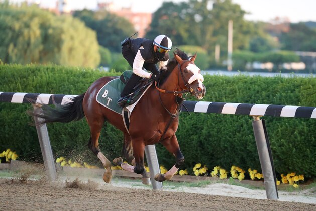 ELMONT, NEW YORK - JUNE 14:  Belmont Stakes contender Tiz the Law breezes with Jockey Manny Franco up  during morning training prior to the 152nd running of the Belmont Stakes at Belmont Park at Belmont Park on June 14, 2020 in Elmont, New York. (Photo by Al Bello/Getty Images)