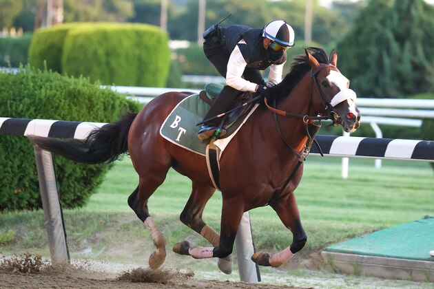 ELMONT, NEW YORK - JUNE 14:  Belmont Stakes contender Tiz the Law breezes with Jockey Manny Franco up  during morning training prior to the 152nd running of the Belmont Stakes at Belmont Park at Belmont Park on June 14, 2020 in Elmont, New York. (Photo by Al Bello/Getty Images)