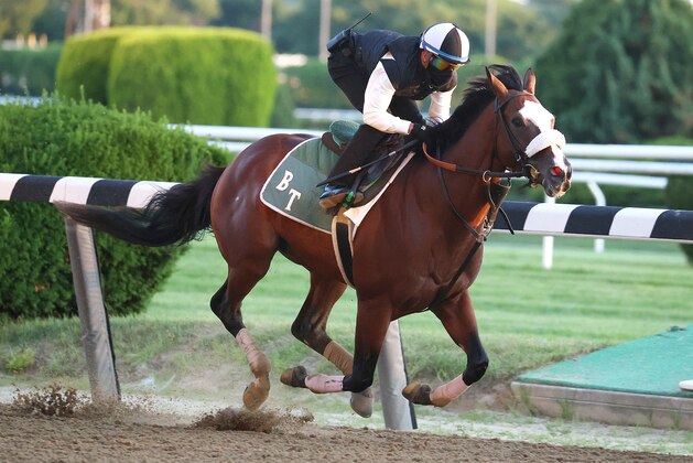 ELMONT, NEW YORK - JUNE 14: Belmont Stakes contender Tiz the Law breezes with Jockey Manny Franco up during morning training prior to the 152nd running of the Belmont Stakes at Belmont Park at Belmont Park on June 14, 2020 in Elmont, New York. (Photo by Al Bello/Getty Images) ELMONT, NEW YORK - JUNE 14: Belmont Stakes contender Tiz the Law breezes with Jockey Manny Franco up during morning training prior to the 152nd running of the Belmont Stakes at Belmont Park at Belmont Park on June 14, 2020 in Elmont, New York. (Photo by Al Bello/Getty Images)
