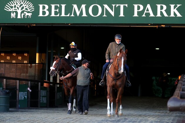 ELMONT, NEW YORK - JUNE 14:  Belmont Stakes contender Tiz the Law enters the main track with Jockey Manny Franco up with Trainer Barclay Tagg riding alongside during morning training prior to the 152nd running of the Belmont Stakes at Belmont Park at Belmont Park on June 14, 2020 in Elmont, New York. (Photo by Al Bello/Getty Images)