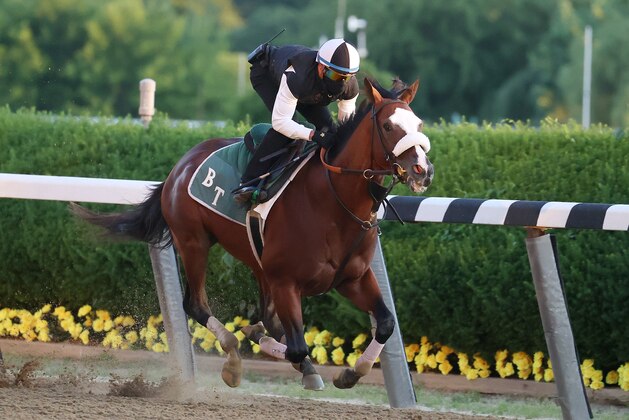 ELMONT, NEW YORK - JUNE 14:  Belmont Stakes contender Tiz the Law breezes with Jockey Manny Franco up  during morning training prior to the 152nd running of the Belmont Stakes at Belmont Park at Belmont Park on June 14, 2020 in Elmont, New York. (Photo by Al Bello/Getty Images)
