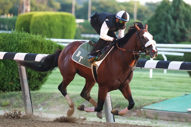 ELMONT, NEW YORK - JUNE 14:  Belmont Stakes contender Tiz the Law breezes with Jockey Manny Franco up  during morning training prior to the 152nd running of the Belmont Stakes at Belmont Park at Belmont Park on June 14, 2020 in Elmont, New York. (Photo by Al Bello/Getty Images)