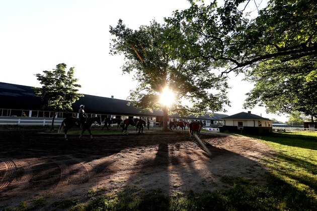ELMONT, NEW YORK - JUNE 17:  Racehorses are walked in the barn area after a morning workout prior to the 152nd running of the Belmont Stakes at Belmont Park on June 17, 2020 in Elmont, New York. (Photo by Al Bello/Getty Images)