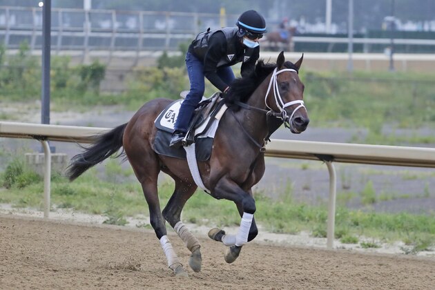 Farmington Road works out on a track at Belmont Park in Elmont, N.Y., Thursday, June 18, 2020. Tiz the Law looks every bit like the best 3-year-old in the world and is the Triple Crown favorite, even with the races being run out of their normal order. It'll take something spectacular Saturday from a watered-down field to prevent him from becoming the first New York-bred horse to win the Belmont Stakes in over 130 years. (AP Photo/Seth Wenig)
