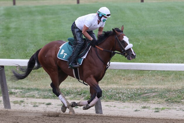 ELMONT, NEW YORK - JUNE 18:  Tiz The Law gallops with Exercise Rider Robin Smullen up during morning training prior to the 152nd running of the Belmont Stakes at Belmont Park on June 18, 2020 in Elmont, New York. (Photo by Al Bello/Getty Images)