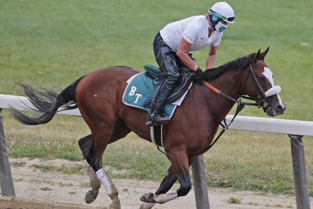 Robin Smullen rides Belmont Stakes favorite Tiz the Law during a workout at Belmont Park in Elmont, N.Y., Thursday, June 18, 2020.(AP Photo/Seth Wenig)