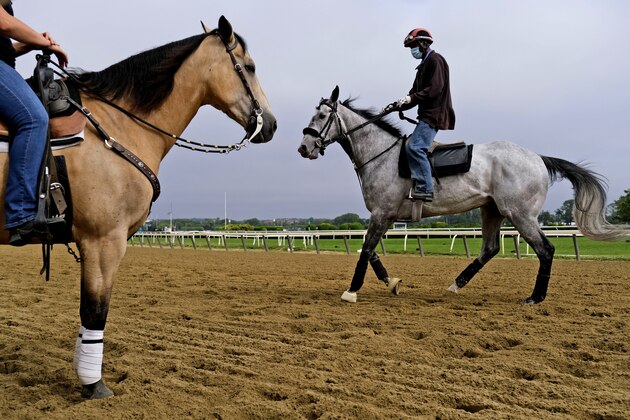 Horses pass one another during workouts at Belmont Park in Elmont, N.Y., Thursday, June 18, 2020. Tiz the Law looks every bit like the best 3-year-old in the world and is the Triple Crown favorite, even with the races being run out of their normal order. It'll take something spectacular Saturday from a watered-down field to prevent him from becoming the first New York-bred horse to win the Belmont Stakes in over 130 years. (AP Photo/Seth Wenig)