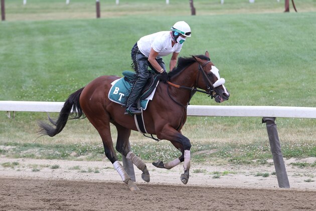 ELMONT, NEW YORK - JUNE 18:  Tiz The Law gallops with Exercise Rider Robin Smullen up during morning training prior to the 152nd running of the Belmont Stakes at Belmont Park on June 18, 2020 in Elmont, New York. (Photo by Al Bello/Getty Images)
