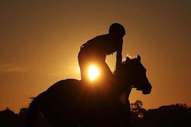 ELMONT, NEW YORK - JUNE 17:  An Exercise Rider and Racehorse train on the main track prior to the 152nd running of the Belmont Stakes at Belmont Park on June 17, 2020 in Elmont, New York. (Photo by Al Bello/Getty Images)