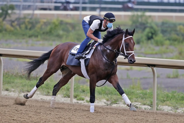 Belmont Stakes hopeful Dr Post works out on a track at Belmont Park in Elmont, N.Y., Thursday, June 18, 2020.  (AP Photo/Seth Wenig)