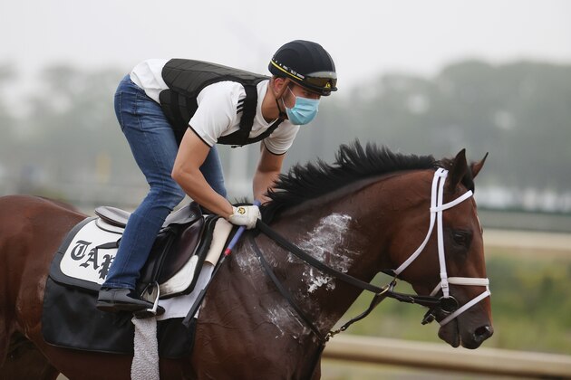 ELMONT, NEW YORK - JUNE 18:  Dr. Post trots on the training track during a morning workout prior to the 152nd running of the Belmont Stakes at Belmont Park on June 18, 2020 in Elmont, New York. (Photo by Al Bello/Getty Images)