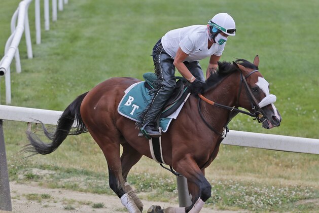 Robin Smullen rides Tiz the Law during a workout at Belmont Park in Elmont, N.Y., Thursday, June 18, 2020. Tiz the Law looks every bit like the best 3-year-old in the world and is the Triple Crown favorite, even with the races being run out of their normal order. It'll take something spectacular Saturday from a watered-down field to prevent him from becoming the first New York-bred horse to win the Belmont Stakes in over 130 years. (AP Photo/Seth Wenig)