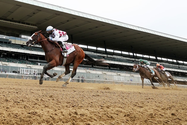 ELMONT, NEW YORK - JUNE 20:  Jockey Manuel Franco rides atop Tiz the Law #8 after crossing the finish line to win during the 152nd running of the Belmont Stakes  at Belmont Park on June 20, 2020 in Elmont, New York. (Photo by Al Bello/Getty Images)