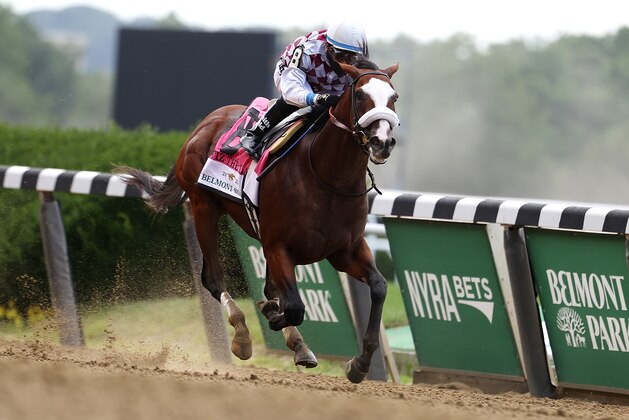 ELMONT, NEW YORK - JUNE 20:  Tiz the Law #8, ridden by jockey Manuel Franco leads the field to the finish line to win the 152nd running of the Belmont Stakes  at Belmont Park on June 20, 2020 in Elmont, New York. (Photo by Al Bello/Getty Images)