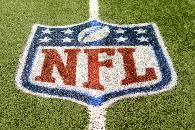 DETROIT, MI - NOVEMBER 24:  A detailed view of an NFL shield logo painted on the field before the game between the  Detroit Lions and the Tampa Bay Buccaneers at Ford Field on November 24, 2013 in Detroit, Michigan. The Buccaneers defeated the Lions 24-21.  (Photo by Mark Cunningham/Detroit Lions/Getty Images)