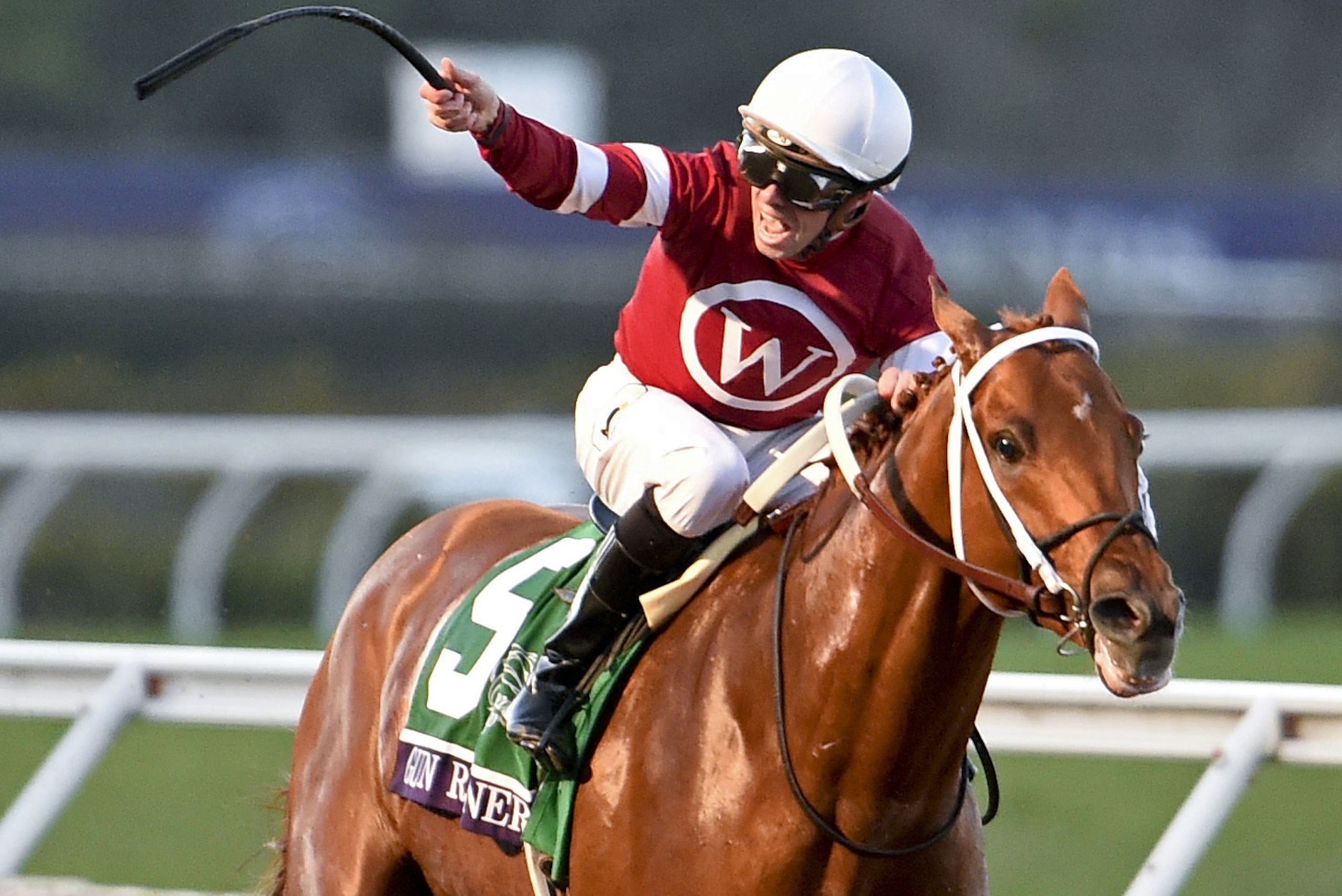 FILE - In this Nov. 4, 2017, file photo, jockey Florent Geroux celebrates as Gun Runner heads to the wire to win in the Breeders' Cup Classic horse race in Del Mar, Calif. Gun Runner is the favored to win Horse of the Year at the Eclipse Awards on Thursday, Jan. 25, 2018. (AP Photo/Denis Poroy, File)