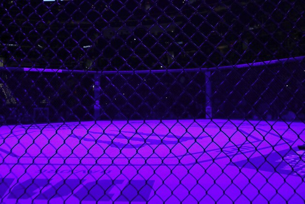 A general overall view of the empty Octagon is seen before a heavyweight mixed martial arts bout at UFC Fight Night, Sunday, December 8, 2019, in Washington, D.C. (AP Photo/Gregory Payan)