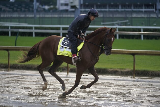 Kentucky Derby entry Attachment Rate runs during a workout at Churchill Downs, Wednesday, Sept. 2, 2020, in Louisville, Ky. The 146th running of the Kentucky Derby is scheduled for Saturday, Sept. 5th. (AP Photo/Darron Cummings)
