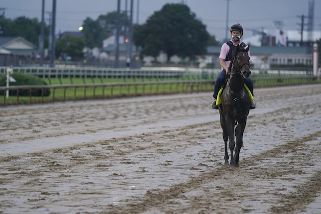 Kentucky Derby entry Storm the Court walks during a workout at Churchill Downs, Wednesday, Sept. 2, 2020, in Louisville, Ky. The 146th running of the Kentucky Derby is scheduled for Saturday, Sept. 5. (AP Photo/Darron Cummings)