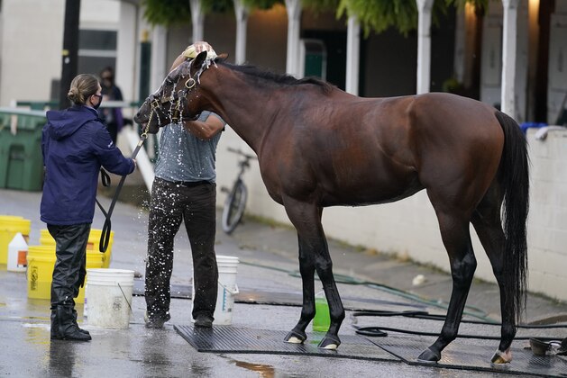 Kentucky Derby entry Tiz the Law get a bath following a workout at Churchill Downs, Thursday, Sept. 3, 2020, in Louisville, Ky. The Kentucky Derby is scheduled for Saturday, Sept. 5th. (AP Photo/Darron Cummings)