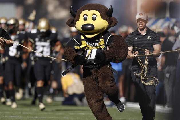 Colorado mascot Chip leads out the players instead of mascot Ralphie the buffalo, who was sidelined for the day, for the first half of an NCAA college football game against Stanford, Saturday, Nov. 9, 2019, in Boulder, Colo. (AP Photo/David Zalubowski)