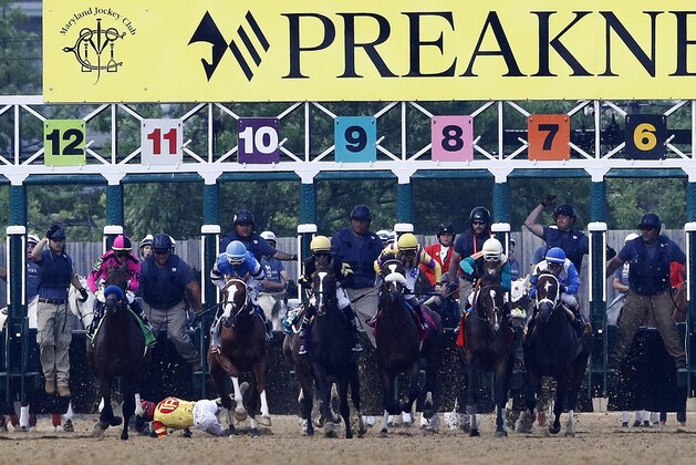 John Velazquez tumbles to the turf after falling off Bodexpress at the starting gate during the 144th Preakness Stakes horse race at Pimlico race course, Saturday, May 18, 2019, in Baltimore. (AP Photo/Patrick Semansky)