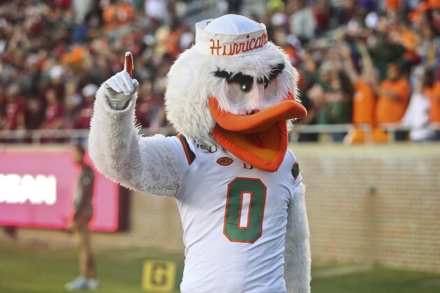 Miami mascot Sebastian the Ibis reacts late in the fourth quarter of an NCAA college football game against Florida State Saturday, Nov. 2, 2019, in Tallahassee, Fla. Miami won 27-10. (AP Photo/Phil Sears)