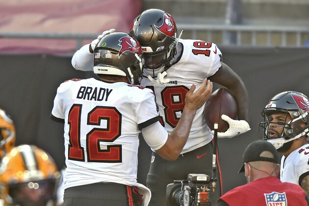 Tampa Bay Buccaneers wide receiver Tyler Johnson (18) celebrates with quarterback Tom Brady (12) after Johnson caught a 2-yard touchdown pass against the Green Bay Packers during the first half of an NFL football game Sunday, Oct. 18, 2020, in Tampa, Fla. (AP Photo/Jason Behnken)