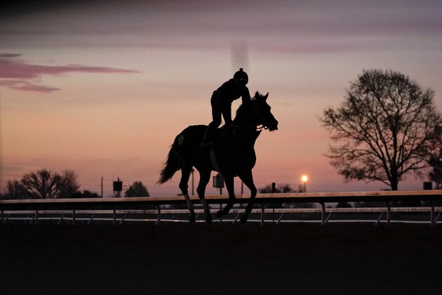A horse and jockey come down a straightaway during an early morning workout ahead of the the Breeders' Cup World Championship horse races at Keeneland Race Course Thursday, Nov. 5, 2020, in Lexington, Ky. (AP Photo/Mark Humphrey)