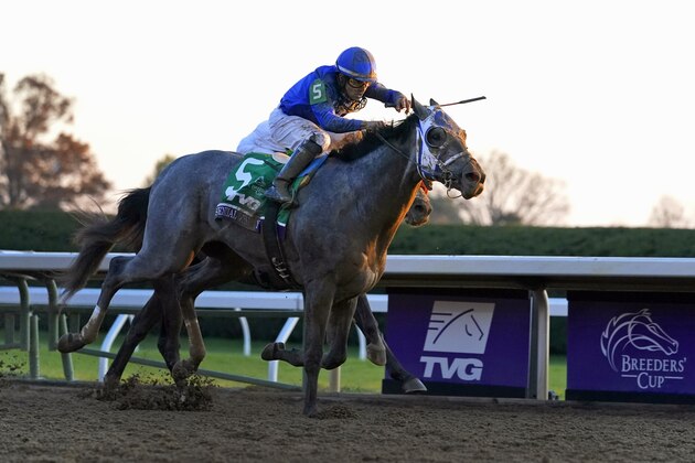 Jockey Luis Saez rides Essential Quality to win the Breeders' Cup Juvenile horse race at Keeneland Race Course, Friday, Nov. 6, 2020, in Lexington, Ky. (AP Photo/Michael Conroy)