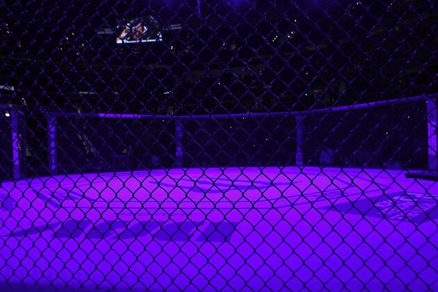 A general overall view of the empty Octagon is seen before a heavyweight mixed martial arts bout at UFC Fight Night, Sunday, December 8, 2019, in Washington, D.C. (AP Photo/Gregory Payan)