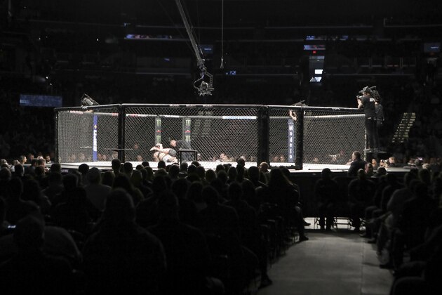An overall, general view of the octagon at UFC Fight Night, Sunday, December 8, 2019, in Washington, D.C. (AP Photo/Gregory Payan)
