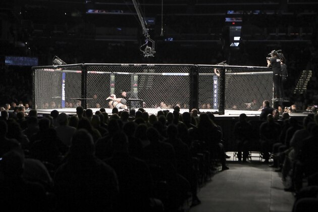 An overall, general view of the octagon at UFC Fight Night, Sunday, December 8, 2019, in Washington, D.C. (AP Photo/Gregory Payan)
