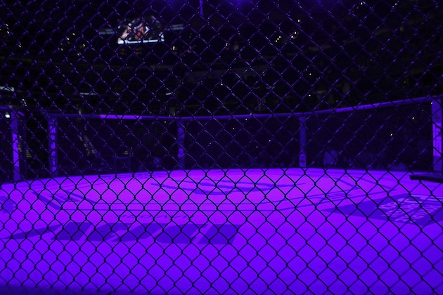 A general overall view of the empty Octagon is seen before a heavyweight mixed martial arts bout at UFC Fight Night, Sunday, December 8, 2019, in Washington, D.C. (AP Photo/Gregory Payan)