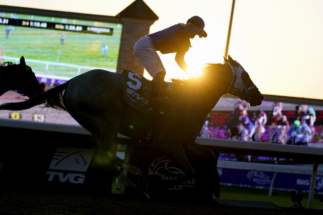 Jockey Luis Saez rides Essential Quality to win the Breeders' Cup Juvenile horse race at Keeneland Race Course, Friday, Nov. 6, 2020, in Lexington, Ky. (AP Photo/Michael Conroy)