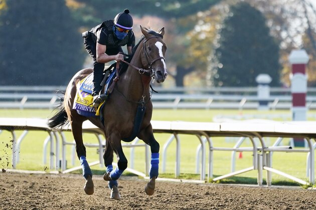 Kentucky Derby winner Authentic is taken for a workout at the Breeders' Cup World Championship horse races at Keeneland Race Course Thursday, Nov. 5, 2020, in Lexington, Ky. Authentic is scheduled to run in the Breeders' Cup Classic race Saturday. (AP Photo/Mark Humphrey)