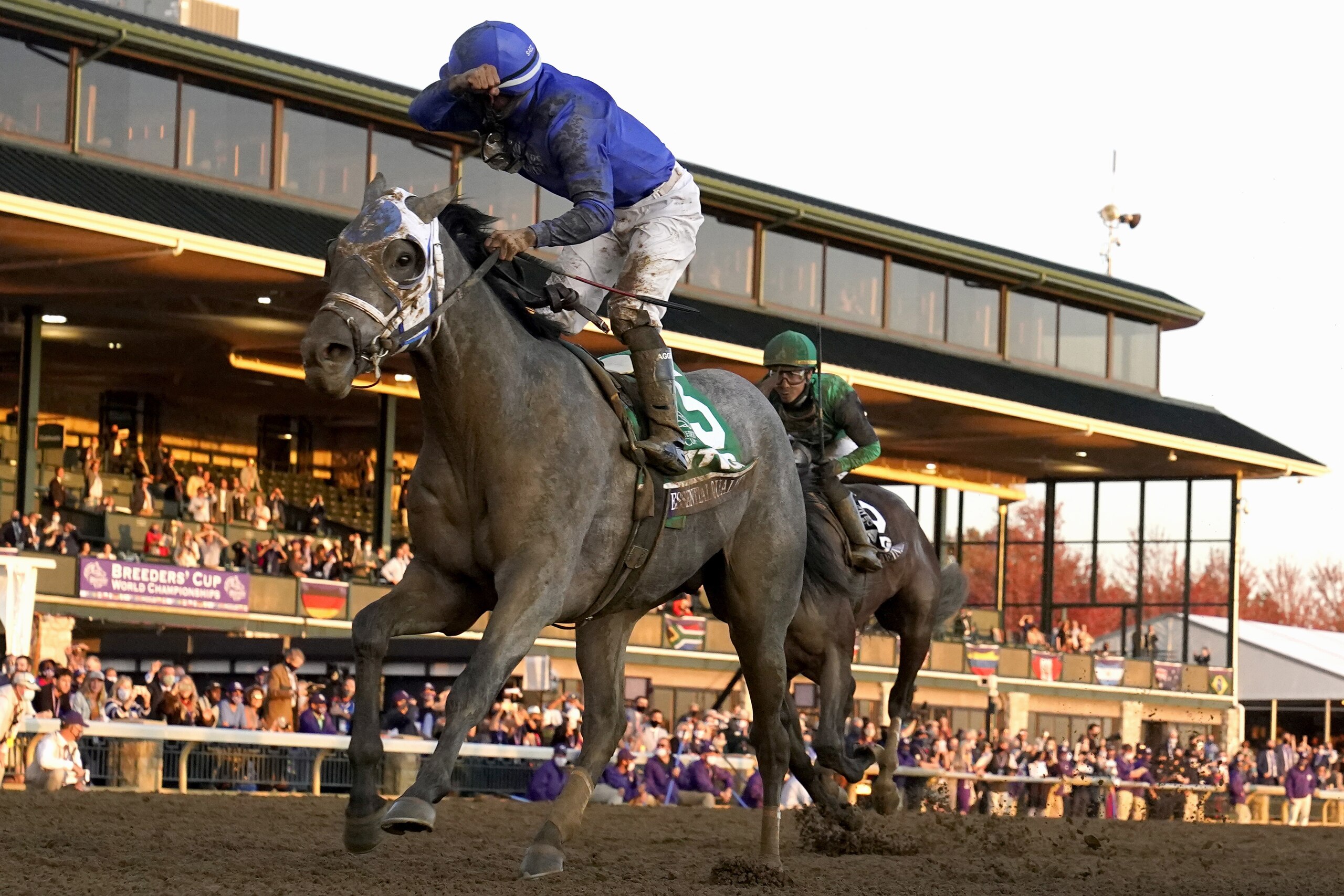 Jockey Luis Saez reacts aboard Essential Quality as they win the Breeders' Cup Juvenile horse race at Keeneland Race Course, Friday, Nov. 6, 2020, in Lexington, Ky.  (AP Photo/Darron Cummings)