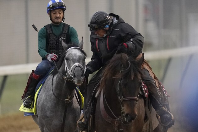 Kentucky Derby entrant Essential Quality is led off the track after a workout at Churchill Downs Thursday, April 29, 2021, in Louisville, Ky. The 147th running of the Kentucky Derby is scheduled for Saturday, May 1. (AP Photo/Charlie Riedel)