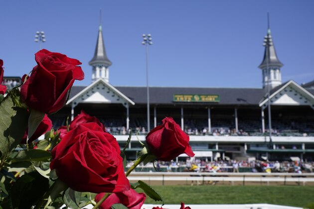 Roses bloom during race three before the 147th running of the Kentucky Derby at Churchill Downs, Saturday, May 1, 2021, in Louisville, Ky. (AP Photo/Darron Cummings)