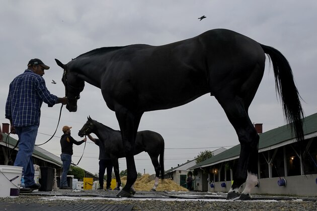 Kentucky Derby entrants Midnight Bourbon, front, and Super Stock get baths after a workout at Churchill Downs Wednesday, April 28, 2021, in Louisville, Ky. The 147th running of the Kentucky Derby is scheduled for Saturday, May 1. (AP Photo/Charlie Riedel)