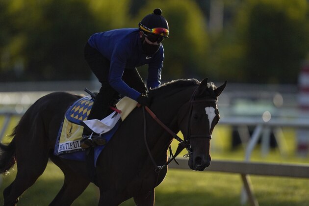 Black-Eyed Susan entrant Beautiful Gift works out during a training session ahead of the Preakness Stakes horse race at Pimlico Race Course, Wednesday, May 12, 2021, in Baltimore. (AP Photo/Julio Cortez)