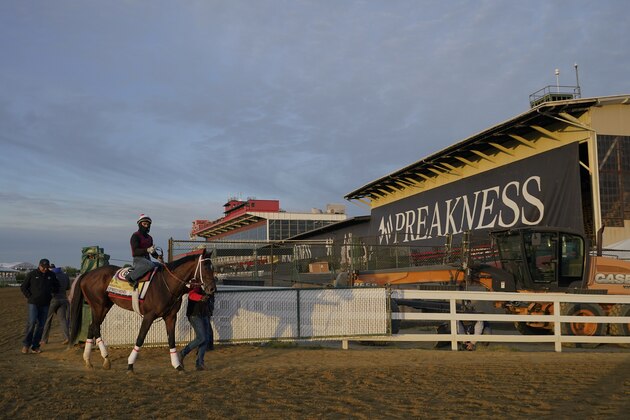 Preakness entrant Keepmeinmind leaves the track after working out during a training session ahead of the Preakness Stakes horse race at Pimlico Race Course, Wednesday, May 12, 2021, in Baltimore. (AP Photo/Julio Cortez)