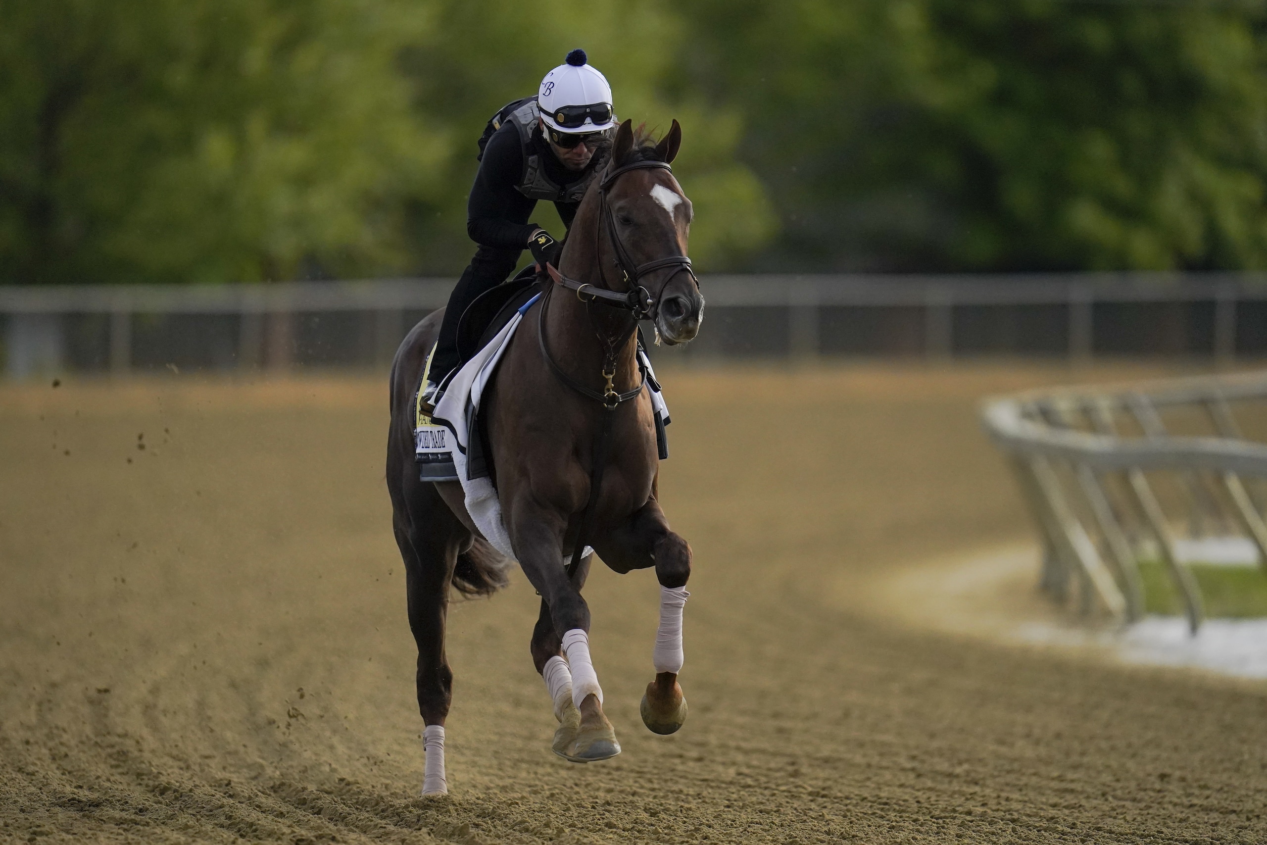 Preakness entrant Crowded Trade works out during a training session ahead of the Preakness Stakes horse race at Pimlico Race Course, Wednesday, May 12, 2021, in Baltimore. (AP Photo/Julio Cortez) Preakness entrant Crowded Trade works out during a training session ahead of the Preakness Stakes horse race at Pimlico Race Course, Wednesday, May 12, 2021, in Baltimore. (AP Photo/Julio Cortez)