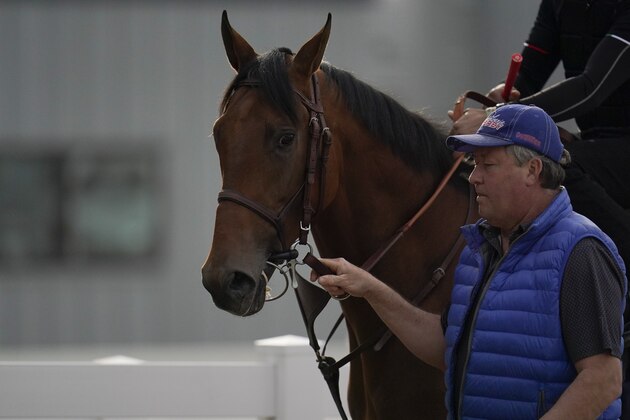 Preakness entrant Concert Tour is walked in the barn ahead of the Preakness Stakes at Pimlico Race Course, Wednesday, May 12, 2021, in Baltimore. (AP Photo/Julio Cortez)