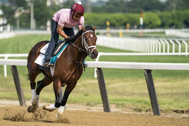 Belmont Stakes entrant Rombauer takes a training run on the main track ahead of the 153rd running of the Belmont Stakes horse race, Wednesday, June 2, 2021, at Belmont Park in Elmont, N.Y. (AP Photo/John Minchillo)